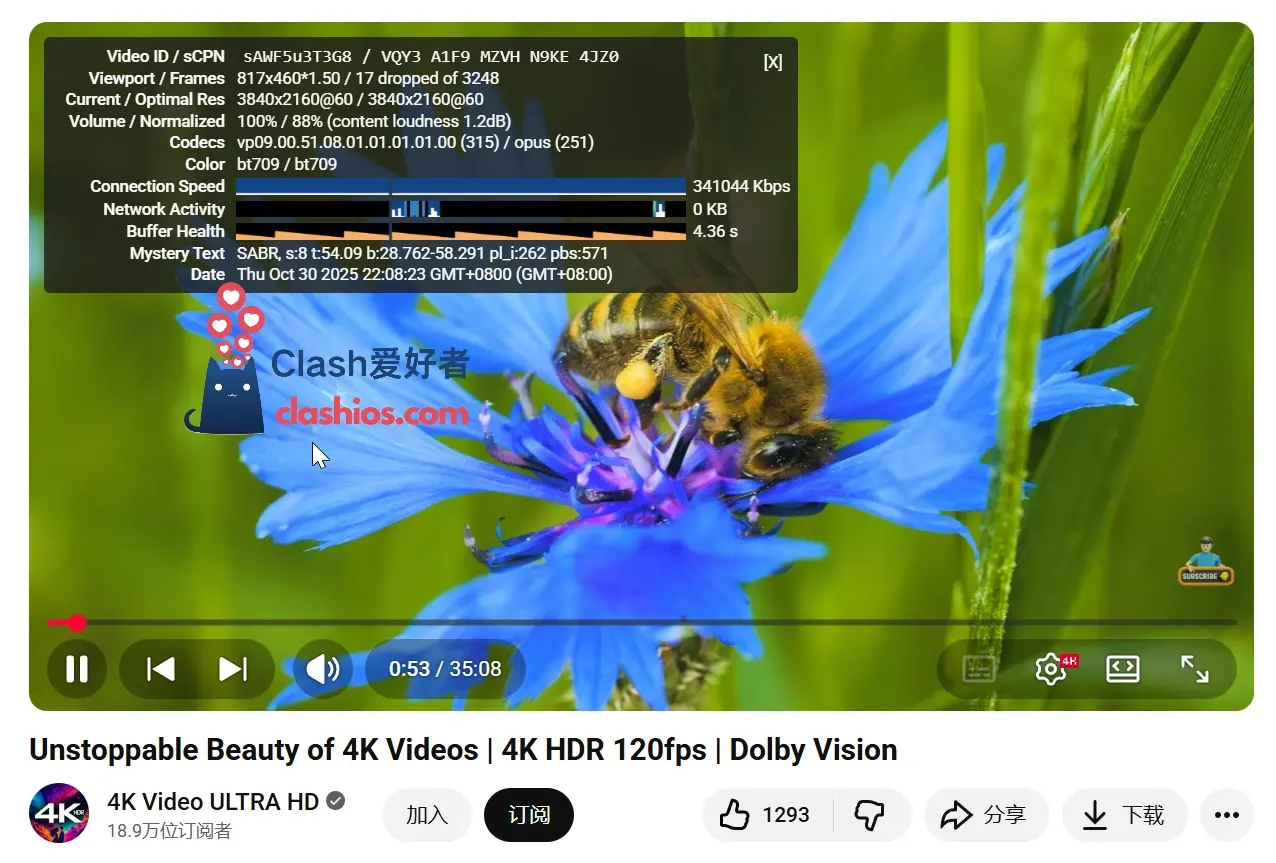 SkyLinX 机场 YouTube 4K 播放测试 Clash爱好者 SkyLinX 机场 YouTube 4K 播放测试 Clash爱好者
